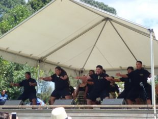 Haka - Waitangi Day, Bay of Islands