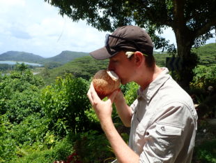 Polynésie Française noix de coco