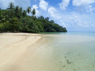 Polynésie Française plage déserte