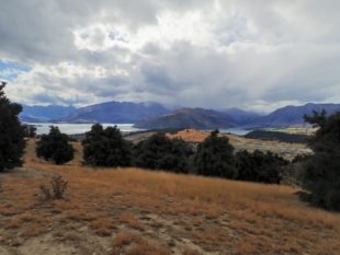 Mt Iron Trail, Wanaka