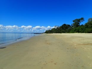 Hervey Bay beach - Australia