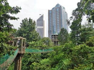 Bukit Nanas, Kuala Lumpur