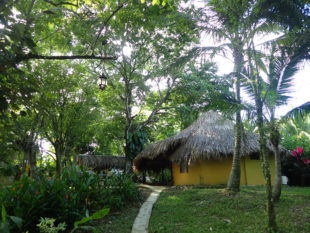 Chiapas, Palenque